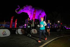 BIB: 
                            <button type="button" onclick="openModal(26534215)" class="btn btn-primary btn-sm float-right btn-popup" data-toggle="modal" data-target=".modal-high-quality">
                        <i class="fas fa-shopping-cart"></i> Add to Cart
                    </button>
                                            <button type="button" onclick="isThisMe(26534215, true)" class="btn btn-success btn-sm float-right btn-popup btn-isme hidden" data-toggle="tooltip" data-placement="bottom" title="นี่คือรูปของคุณใช่ไหม คลิกที่นี่เพื่อเอาเข้าอัลบั้ม">
                        <i class="fas fa-plus"></i> Add to album
                    </button>
                    <button type="button" onclick="isThisMe(26534215, false)" class="btn btn-warning btn-sm float-right btn-popup btn-isnotme hidden">
                        <i class="fas fa-ban"></i> Remove from album
                    </button>